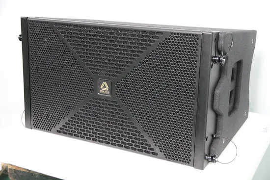 Sistema di amplificazione audio DSP con array di linee attive, sistema audio professionale, altoparlanti amplificati per prestazioni indoor