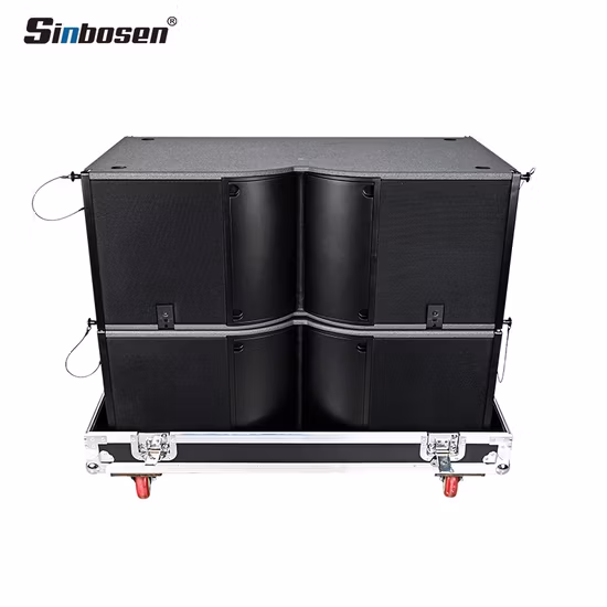 Sistema di altoparlanti attivi professionali per esterni Ka212 con doppio array di linee da 12 pollici al neodimio