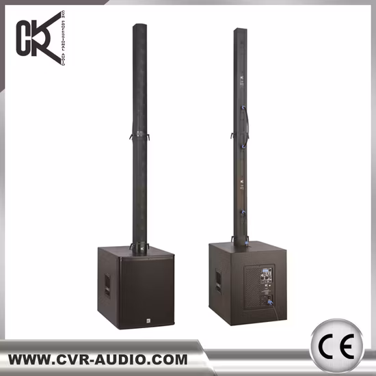 Sistema di altoparlanti a colonna Line Array con cassa audio portatile Live Sound Speaker