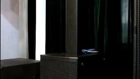 Sistema di altoparlanti a colonna professionali PRO Audio Active Line Array