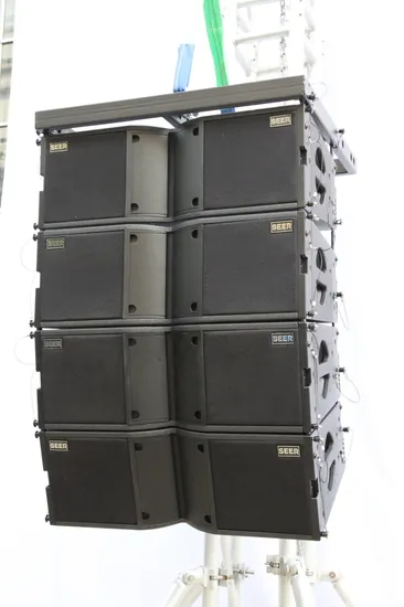 Altoparlante Line Array di alta qualità, altoparlante passivo a 2 vie, altoparlante a gamma completa