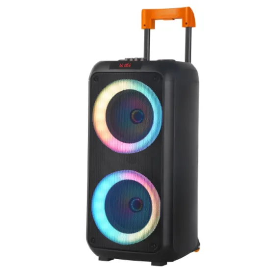 Altoparlante portatile wireless per esterni Ndr Dual da 8 pollici con bassi potenti e gamma completa personalizzata per feste