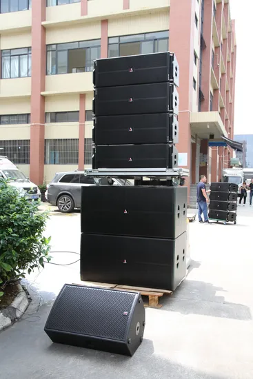 Sistema di altoparlanti a gamma completa da 12 pollici e sistema di altoparlanti a lunga distanza