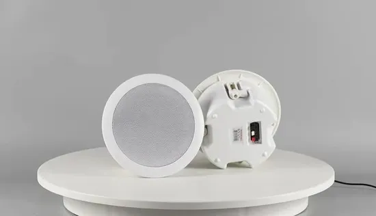 Sistema PA da parete a gamma completa in plastica da 5 pollici, altoparlante da soffitto BT da 20 W
