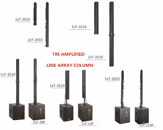 Installazione audio professionale Sistema audio pubblico Colonna di altoparlanti Line Array