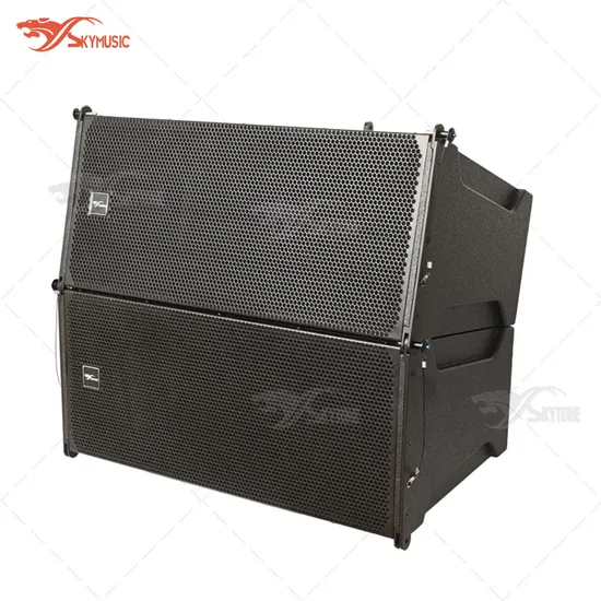 Sistema audio con doppio altoparlante line array da 10 pollici, attivo, passivo, professionale, doppio altoparlante line array da 10 pollici