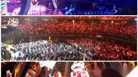 Altoparlante professionale a gamma completa Due