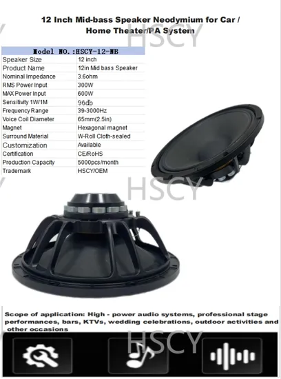 Altoparlante audio professionale 12′′ Neodimio MID