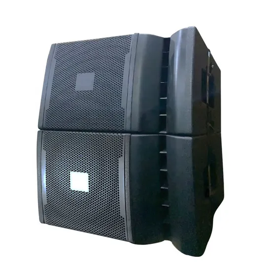 Altoparlante DJ subwoofer al neodimio da 12