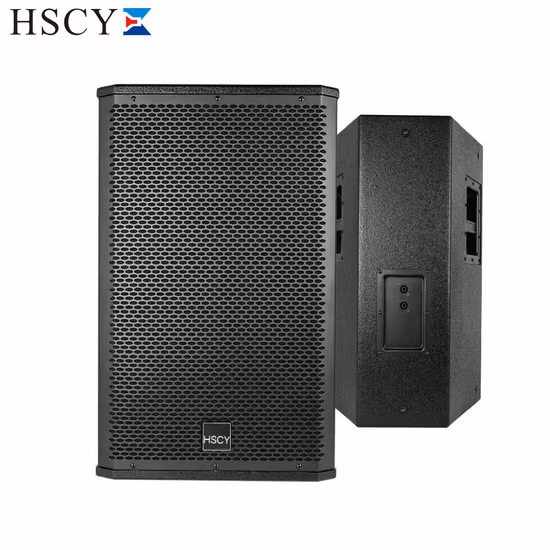 Sistema di amplificazione a 2 vie con altoparlante a colonna passivo professionale da 10 pollici