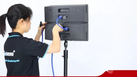 Sistema di altoparlanti line array attivi da 5 pollici doppio Sistema audio professionale Altoparlante audio