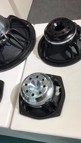 Altoparlante Falante PRO Audio Full Range da 10 pollici con cono USA