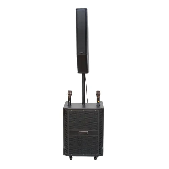 Sistema audio con altoparlanti a colonna PRO Audio Line Array Subwoofer da 15 pollici