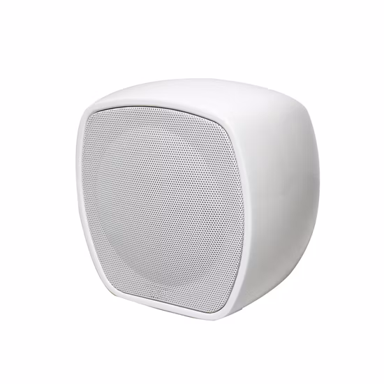 PRO Audio 100V 50W a 4 Ohm 2 vie Mini Full Range Bianco/Nero Altoparlante professionale in fibra di vetro da parete per sistema PA e Bgm