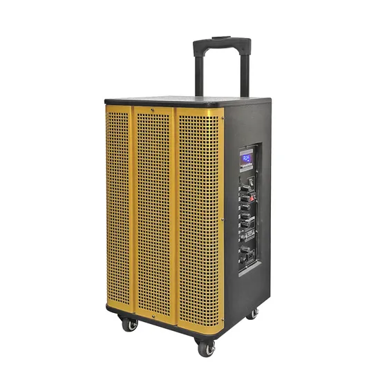 Altoparlanti Full Range Party Box PRO Audio Altoparlanti Karaoke Machine Spike