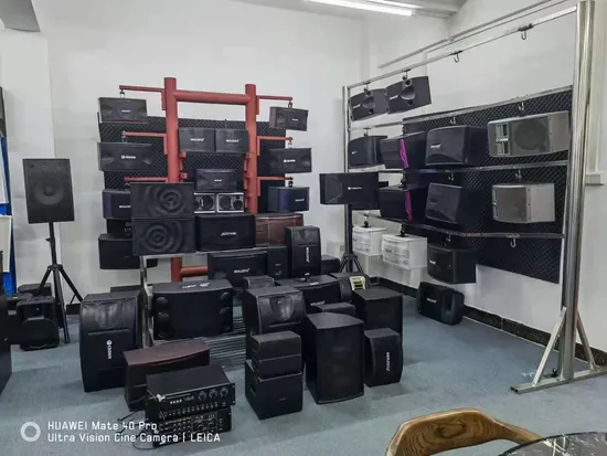 Batteria per altoparlanti line array alimentati attivamente all'interno della colonna sonora del microfono KTV