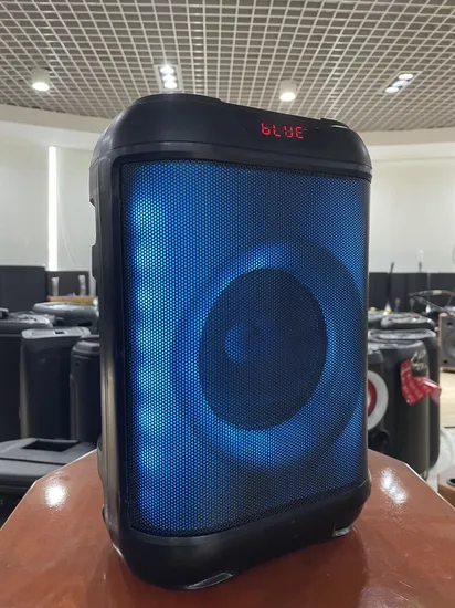 Altoparlante portatile wireless Bluetooth ricaricabile Partybox Audio da 6,5