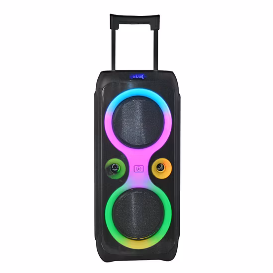 Altoparlanti per auto DJ Sistema audio WiFi Amplificatori da concerto Gamma completa Trolly Cina Bluetooth Altoparlante Bluetooth per DJ