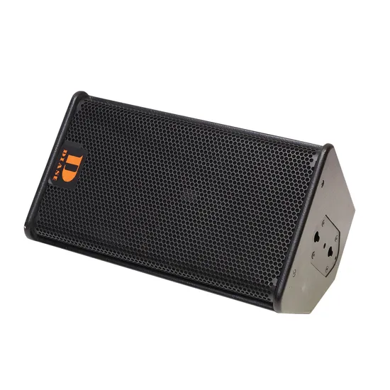 S12 Singolo altoparlante line array bidirezionale PRO Audio da 12 pollici, audio professionale passivo