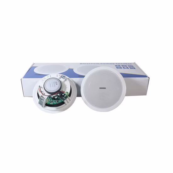 Altoparlante da soffitto Bluetooth wireless da 6,5 pollici con gamma completa, da incasso a filo per sala multimediale