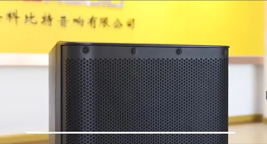 Altoparlante audio professionale Altoparlante full range Doppio altoparlante da 15 pollici