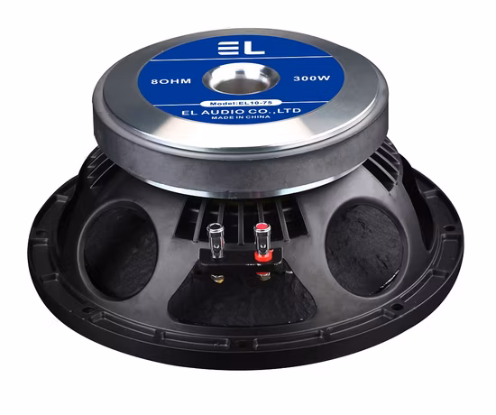 Altoparlante professionale da 10 pollici, magnete da 170 mm, bobina mobile da 75 mm, gamma PA completa