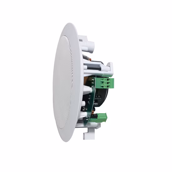 Altoparlante da soffitto attivo wireless Bluetooth 2*15W a gamma completa con ingresso di linea, set da 1 altoparlante principale e 1 altoparlante passivo