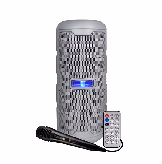 Diffusore portatile Bluetooth doppio da 5,25 pollici con LED colorati per feste, diffusori karaoke a gamma completa