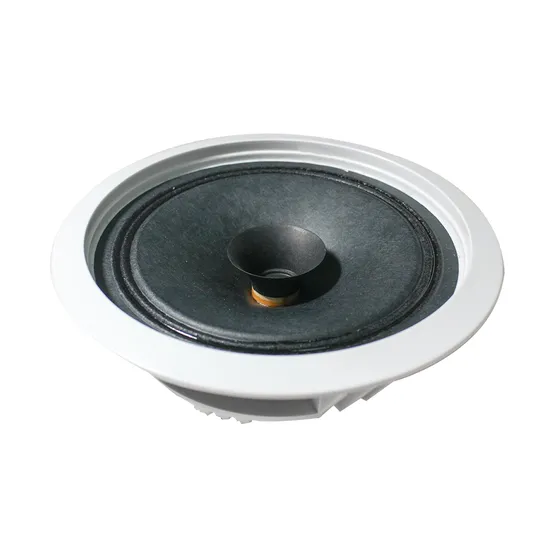 Amplificatori per sistemi musicali Altoparlante da soffitto full range senza bordo da 6