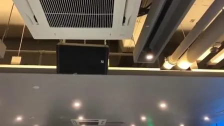 Sistema di amplificazione audio KTV Altoparlante coassiale professionale da 8